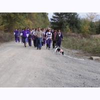 cc002 walking the course.jpg 91.4K